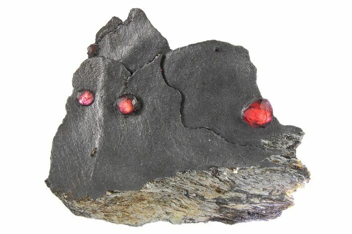 Plate of Three Red Embers Garnets in Graphite - Massachusetts #272734